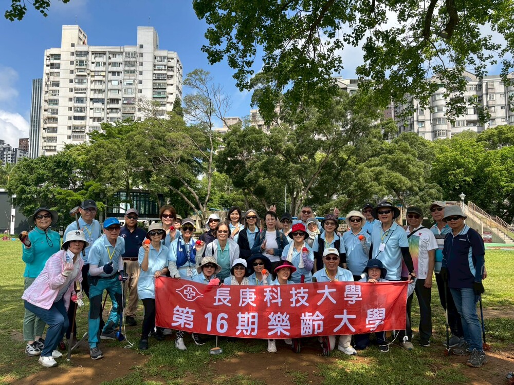 地面高爾夫球體驗